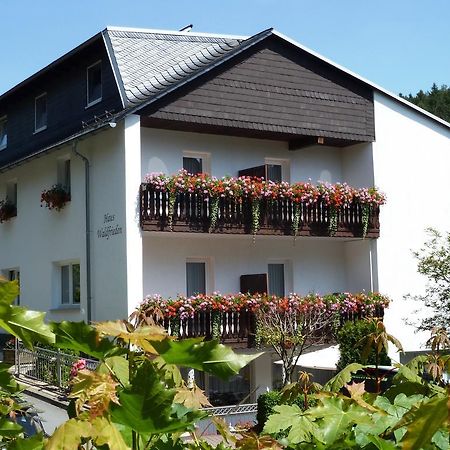 Pension Haus Waldfrieden, Meinecardplus Inklusive Willingen  Dış mekan fotoğraf