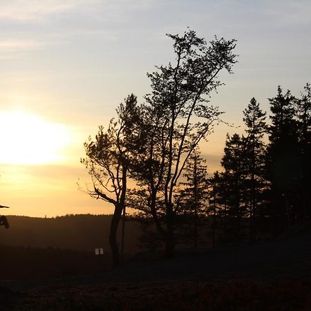 Pension Haus Waldfrieden, Meinecardplus Inklusive Willingen  Dış mekan fotoğraf