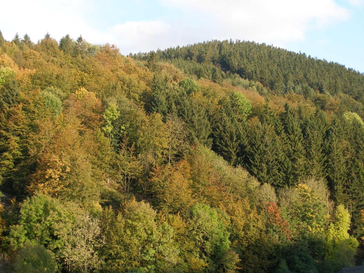 Pension Haus Waldfrieden, Meinecardplus Inklusive Willingen  Oda fotoğraf