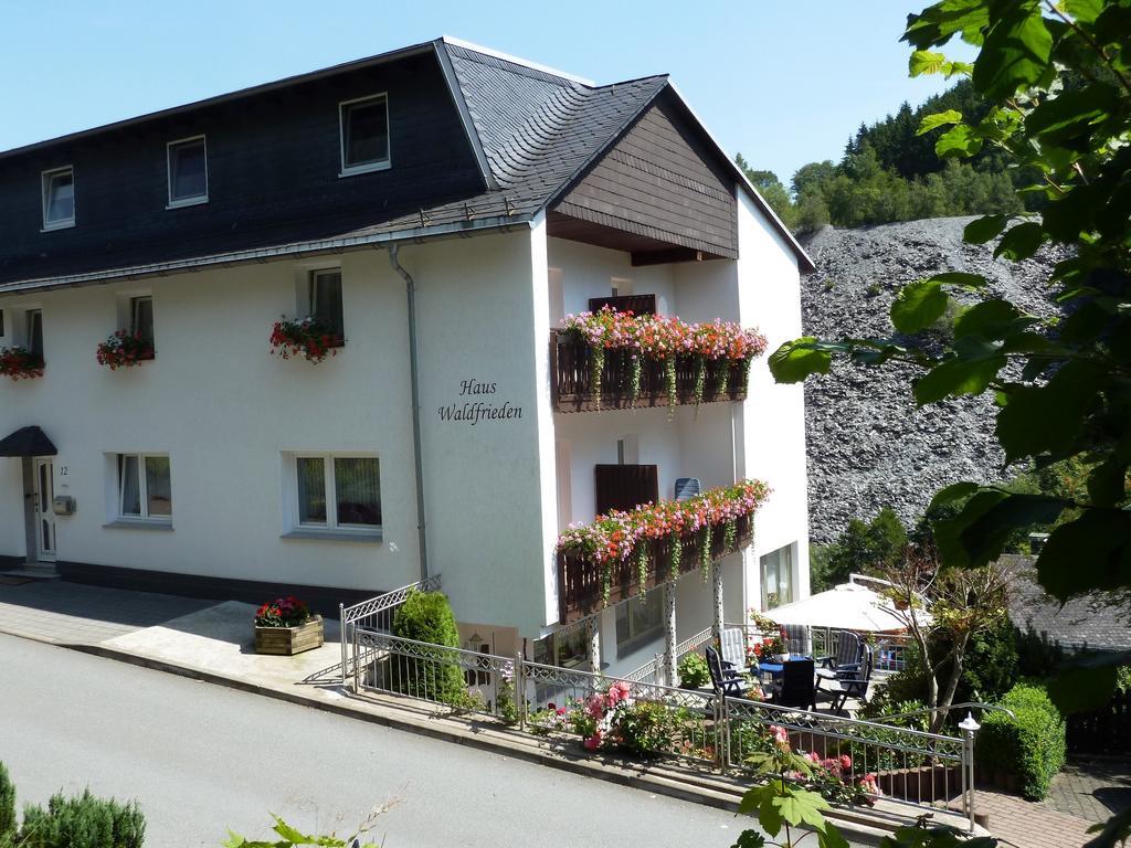 Pension Haus Waldfrieden, Meinecardplus Inklusive Willingen  Dış mekan fotoğraf