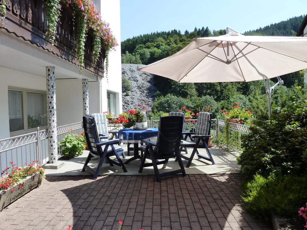Pension Haus Waldfrieden, Meinecardplus Inklusive Willingen  Dış mekan fotoğraf