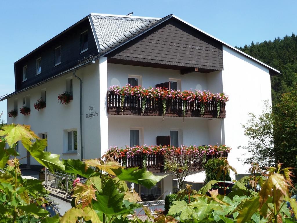 Pension Haus Waldfrieden, Meinecardplus Inklusive Willingen  Dış mekan fotoğraf
