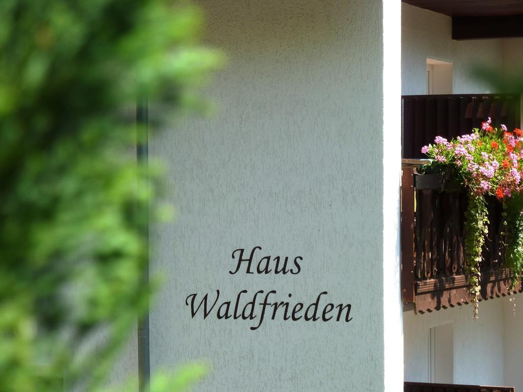 Pension Haus Waldfrieden, Meinecardplus Inklusive Willingen  Dış mekan fotoğraf