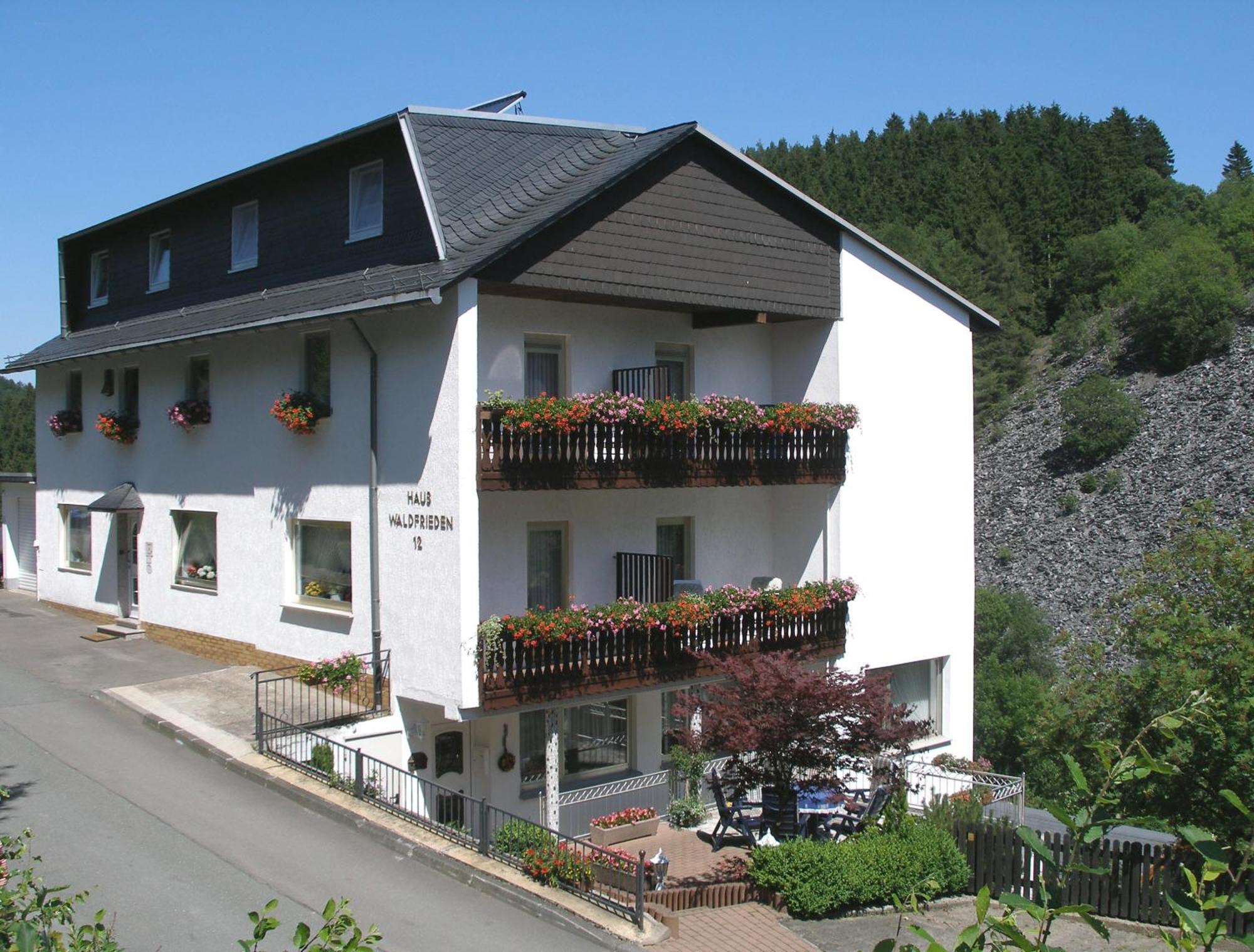 Pension Haus Waldfrieden, Meinecardplus Inklusive Willingen  Dış mekan fotoğraf
