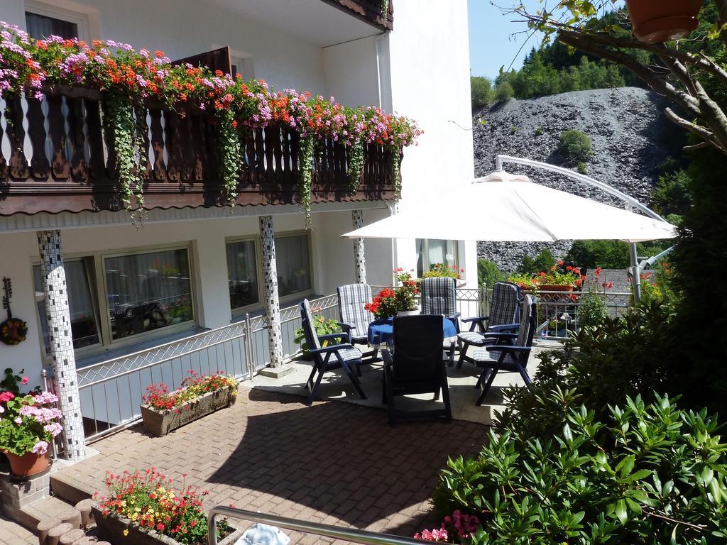 Pension Haus Waldfrieden, Meinecardplus Inklusive Willingen  Dış mekan fotoğraf