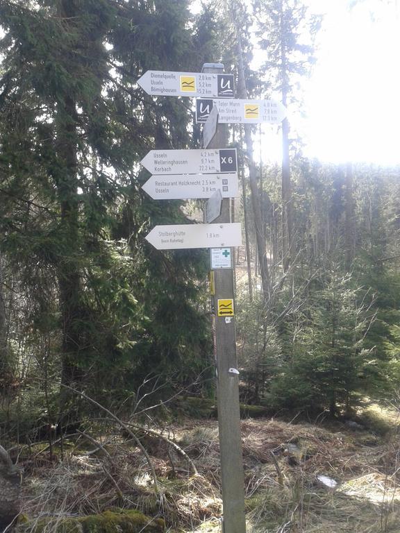 Pension Haus Waldfrieden, Meinecardplus Inklusive Willingen  Dış mekan fotoğraf