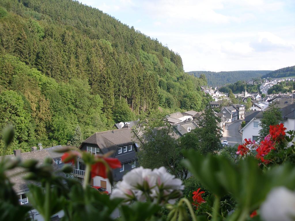 Pension Haus Waldfrieden, Meinecardplus Inklusive Willingen  Dış mekan fotoğraf
