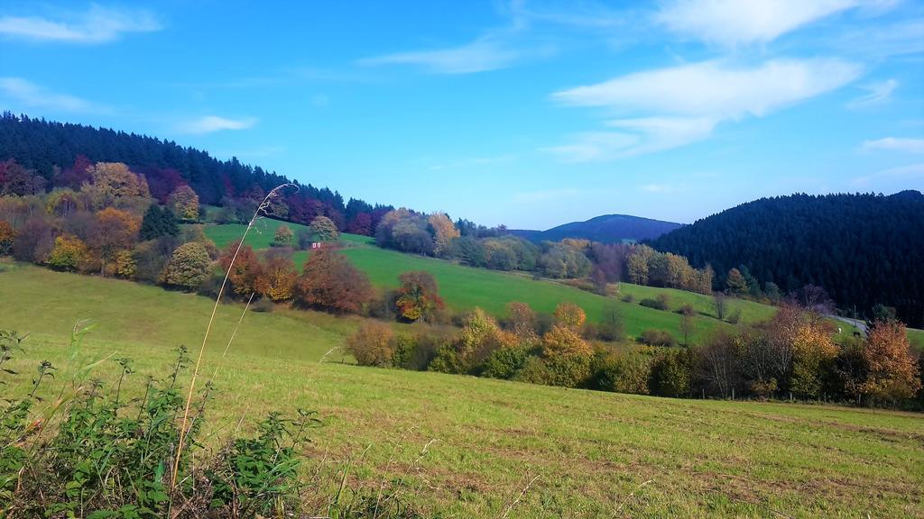 Pension Haus Waldfrieden, Meinecardplus Inklusive Willingen  Dış mekan fotoğraf