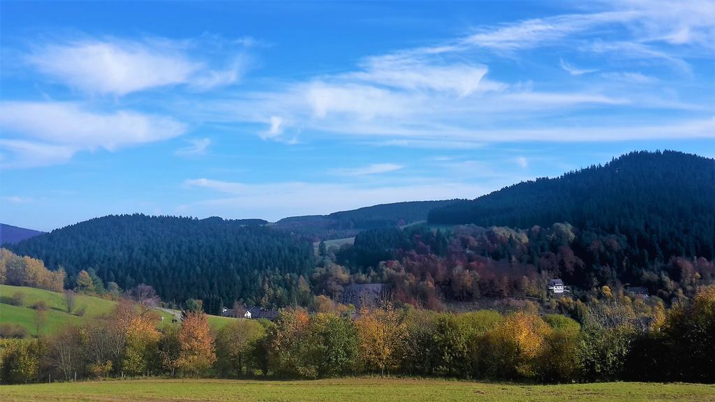 Pension Haus Waldfrieden, Meinecardplus Inklusive Willingen  Dış mekan fotoğraf