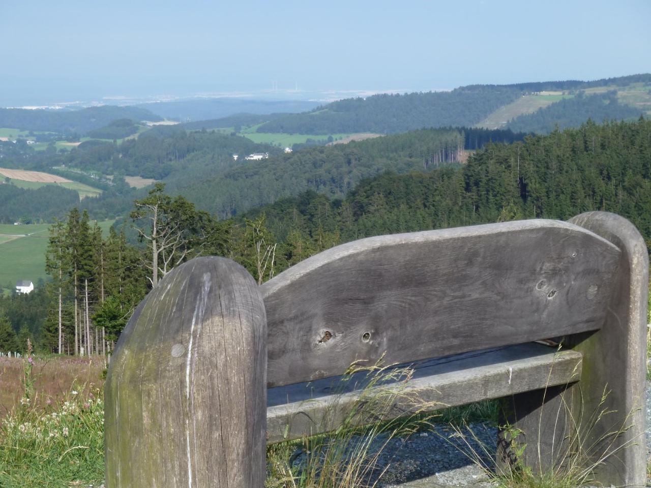 Pension Haus Waldfrieden, Meinecardplus Inklusive Willingen  Dış mekan fotoğraf