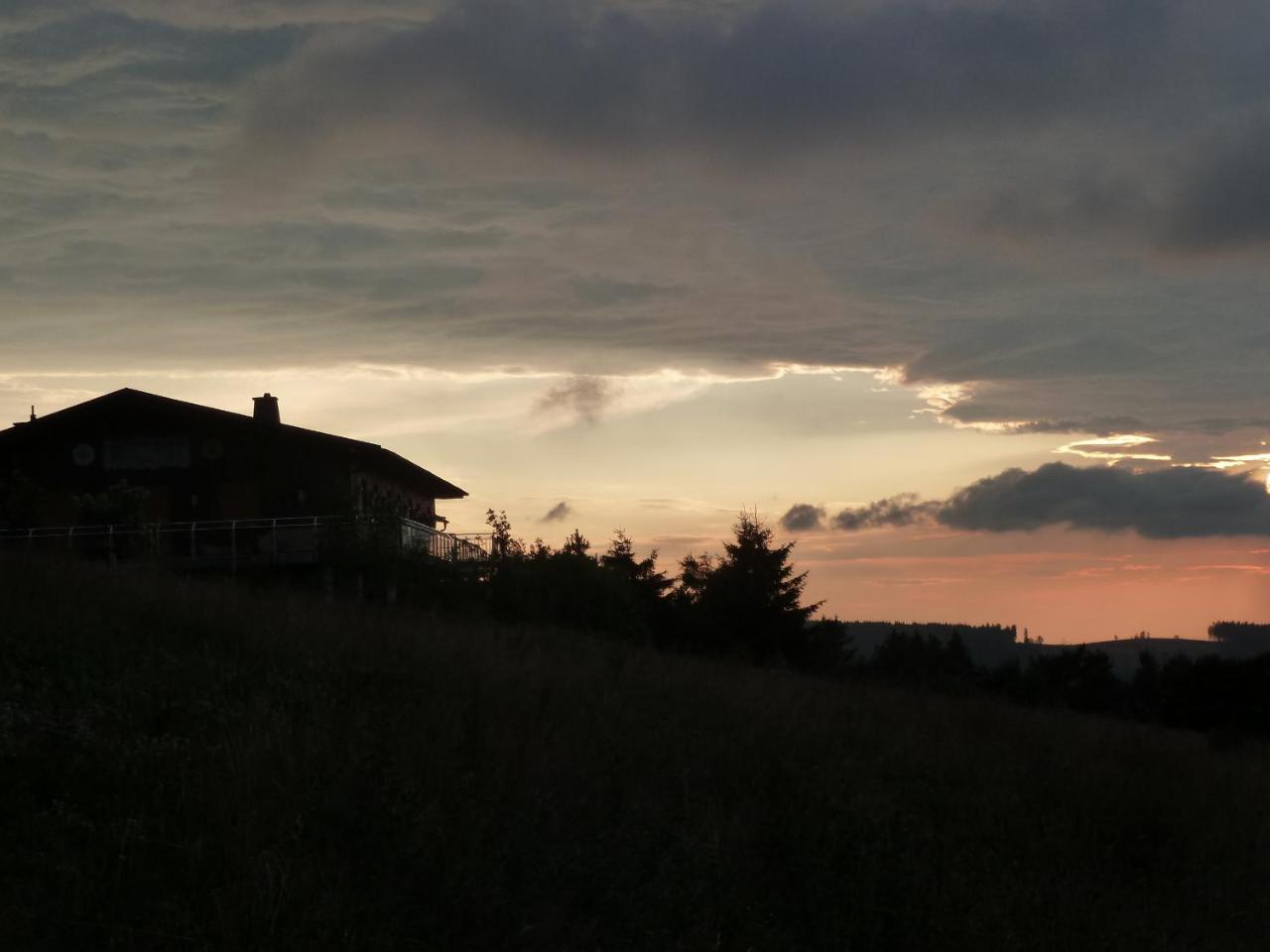 Pension Haus Waldfrieden, Meinecardplus Inklusive Willingen  Dış mekan fotoğraf