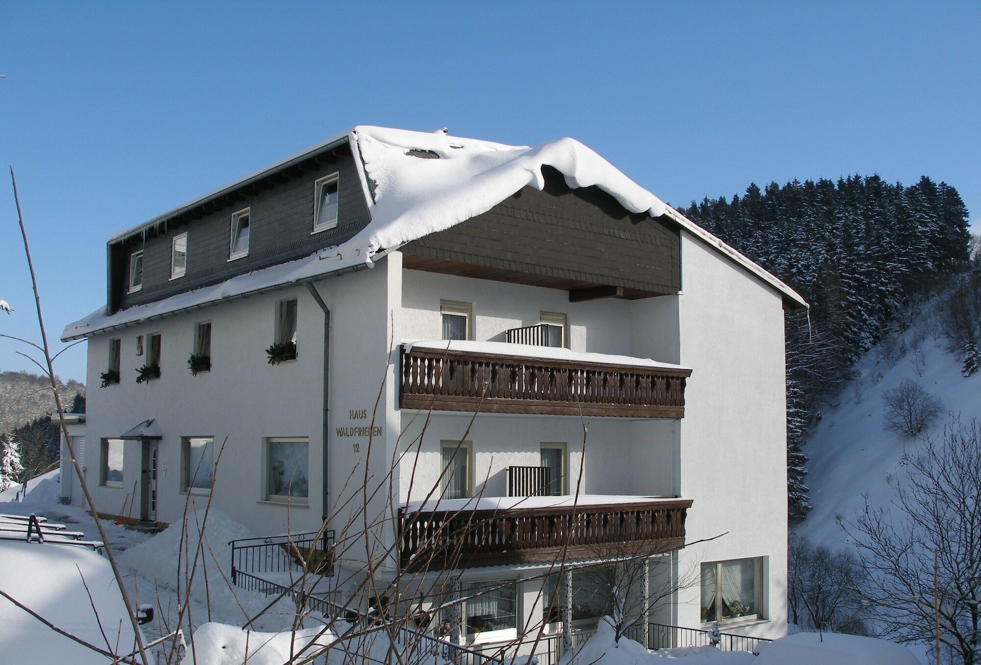 Pension Haus Waldfrieden, Meinecardplus Inklusive Willingen  Dış mekan fotoğraf