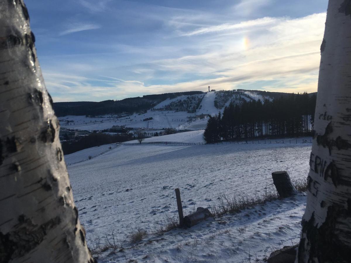 Pension Haus Waldfrieden, Meinecardplus Inklusive Willingen  Dış mekan fotoğraf