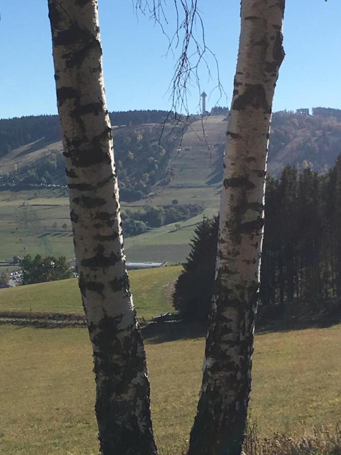 Pension Haus Waldfrieden, Meinecardplus Inklusive Willingen  Dış mekan fotoğraf