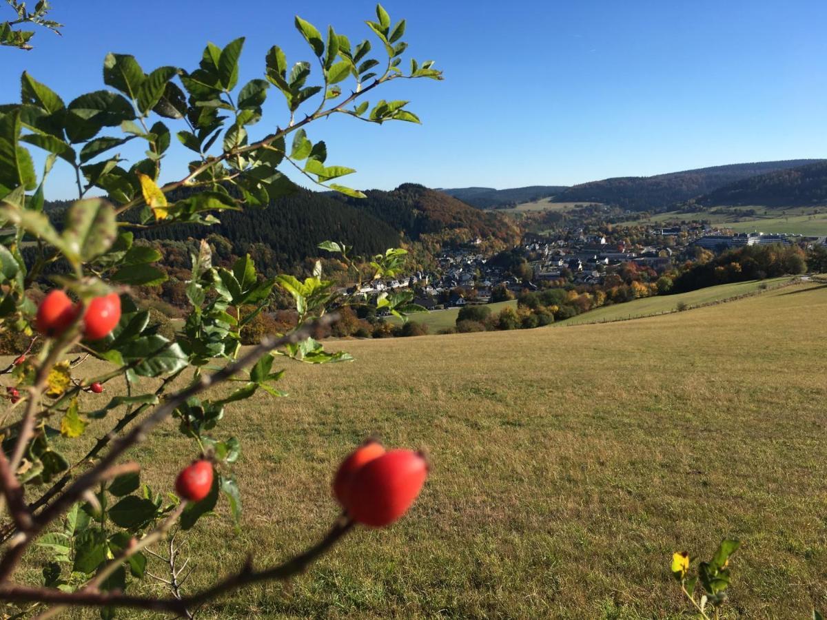 Pension Haus Waldfrieden, Meinecardplus Inklusive Willingen  Dış mekan fotoğraf