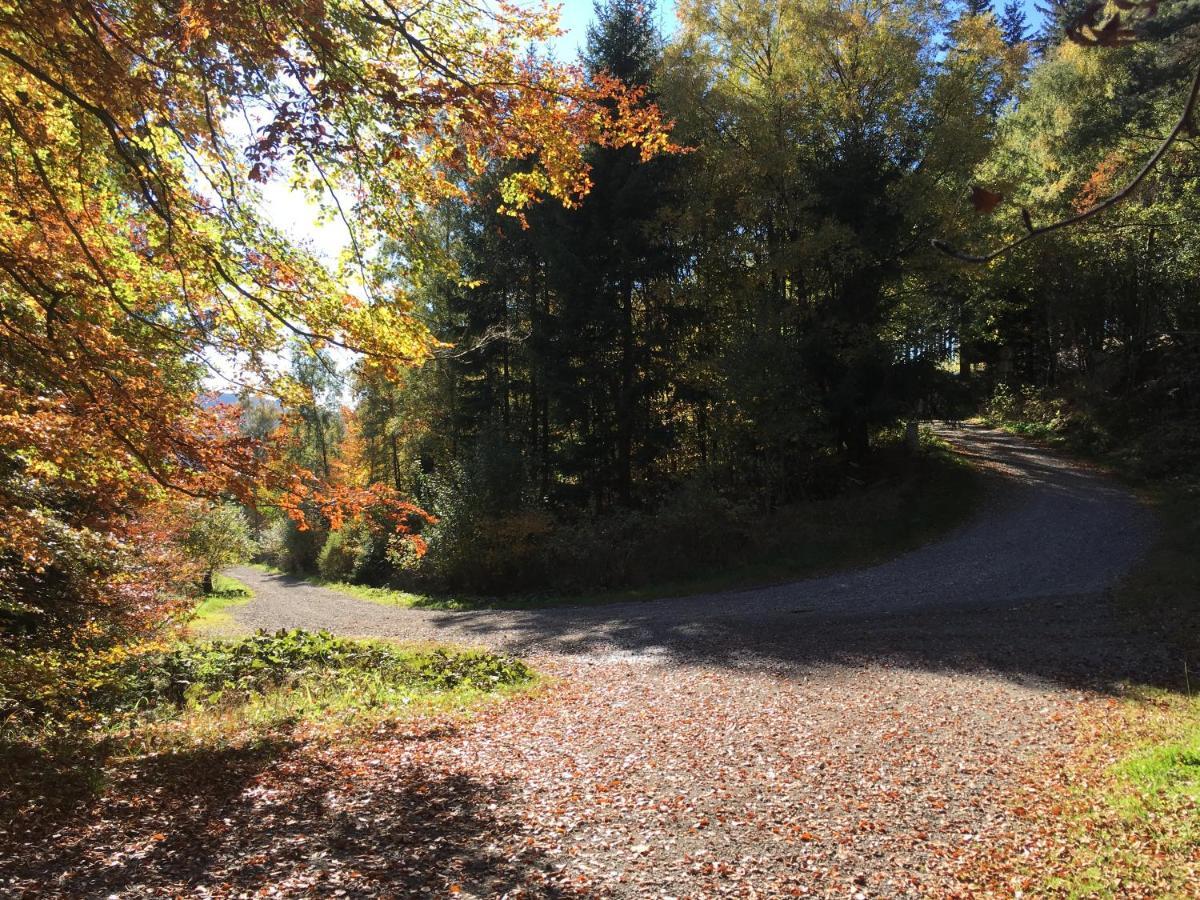 Pension Haus Waldfrieden, Meinecardplus Inklusive Willingen  Dış mekan fotoğraf